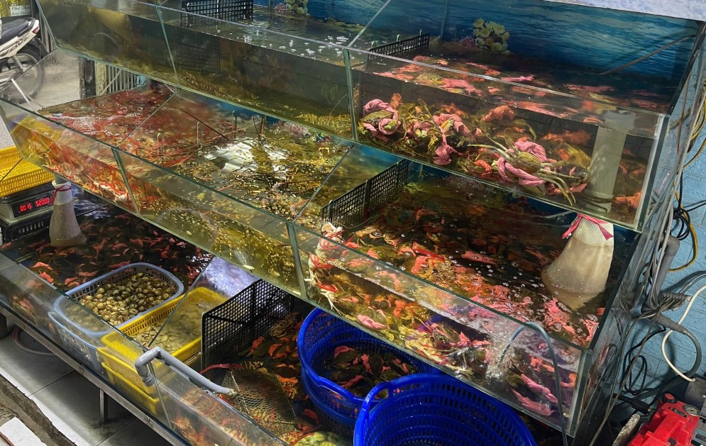 Hải sản là gì