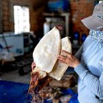 Mực một nắng Phan Thiết loại 1 hút chân không