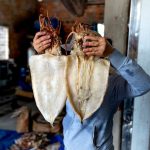 Mực khô xé sẵn ăn liền Phan Thiết