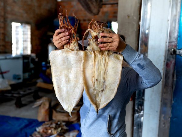 Mực khô xé sẵn ăn liền Phan Thiết