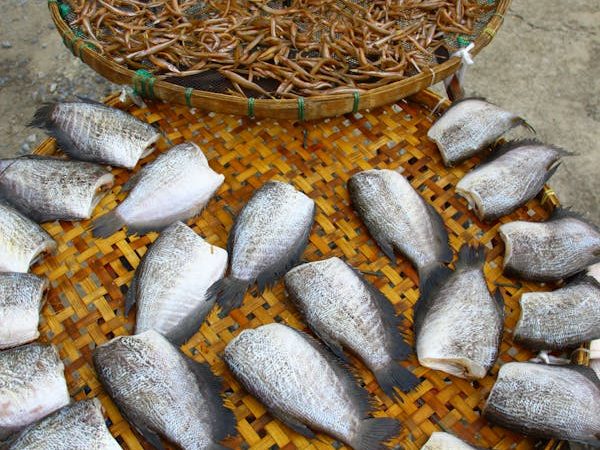 Khô cá sặc rằn đặc sản miền Tây 500g