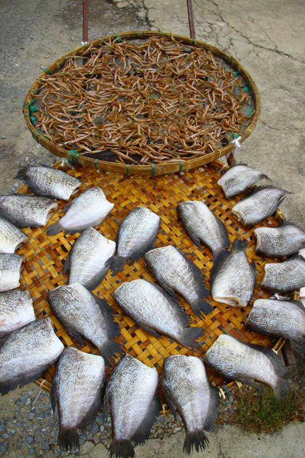 Khô cá sặc rằn đặc sản miền Tây 500g