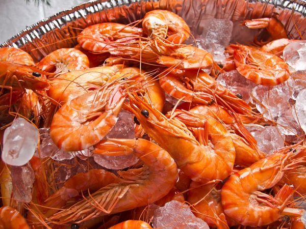 Tôm sú sống tươi đóng túi oxy