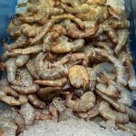 Tôm thẻ chân trắng sống tươi 1kg