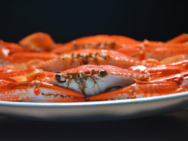 Cua gạch sống Cà Mau chắc thịt giao nhanh