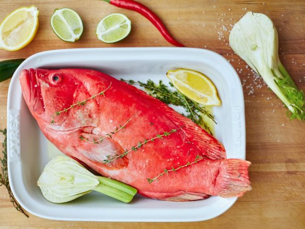 Cá mú tươi sống giao giữ oxy