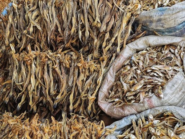 Sá sùng khô Quảng Ninh đặc sản Hạ Long