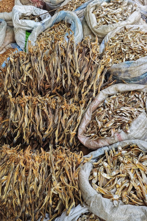 Sá sùng khô Quảng Ninh đặc sản Hạ Long