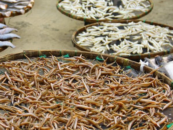 Rong biển Đà Nẵng tươi sấy khô 100g