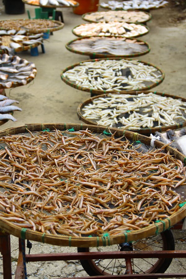 Rong biển Đà Nẵng tươi sấy khô 100g
