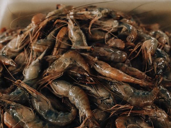 Tôm khô sỉ Cà Mau thùng 5kg nhà hàng