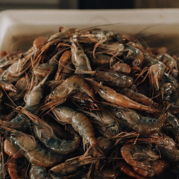 Tôm khô sỉ Cà Mau thùng 5kg