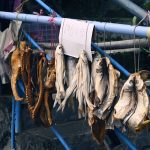 Mực khô sỉ thùng 3kg cho đại lý
