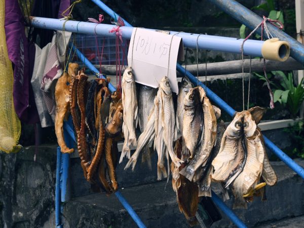 Mực khô sỉ thùng 3kg cho đại lý